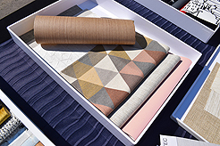 MOMENTUM AND STEPHANIE POLIAKOFF